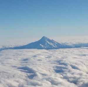 Meet your Posher, Cody